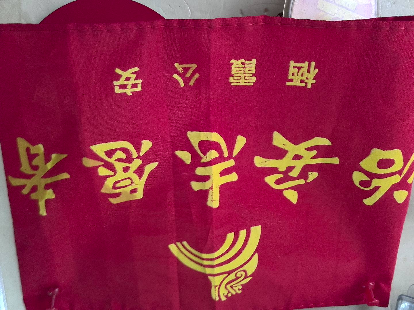 什么是发展性社会工作？
